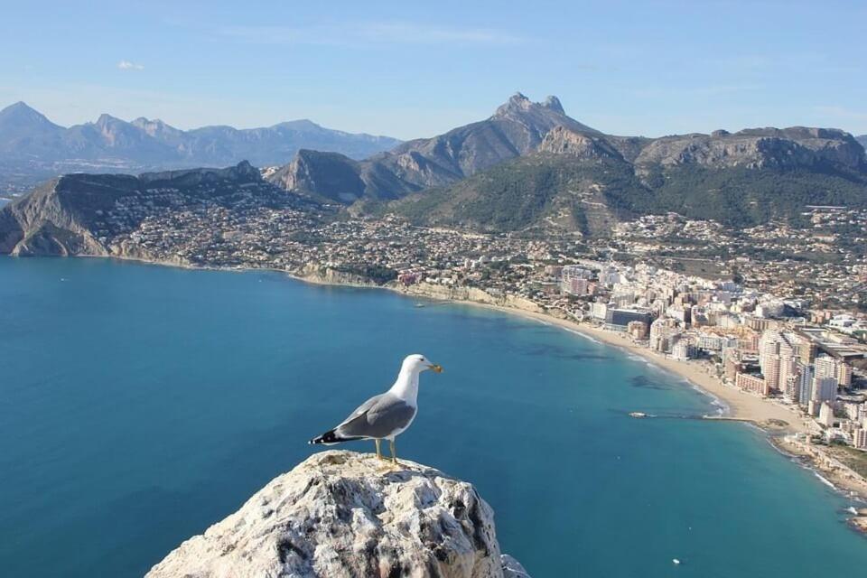 Apartamento Arenal 5 - Plusholidays Calpe Exterior foto